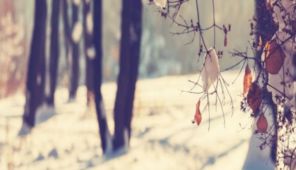 This article it's on ReversingHero challange /reveringhero/featured-image.jpg